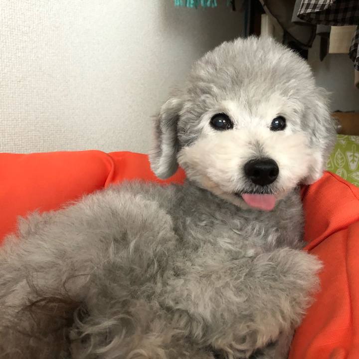 0e0fd4ca e664 41c0 8065 ed0c5db0072b 1554245054805