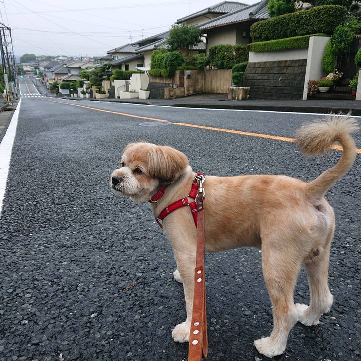 0e0ff5cf c4c2 45b8 a3cd 2024ec51e810 1594158290407