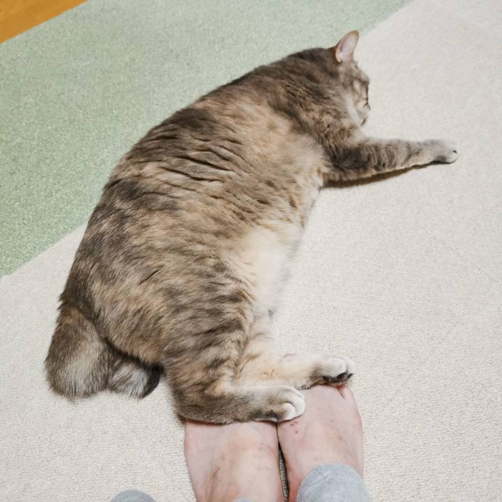 0e0ffb31 45d1 4200 b562 59479aa27c37 1647869500354