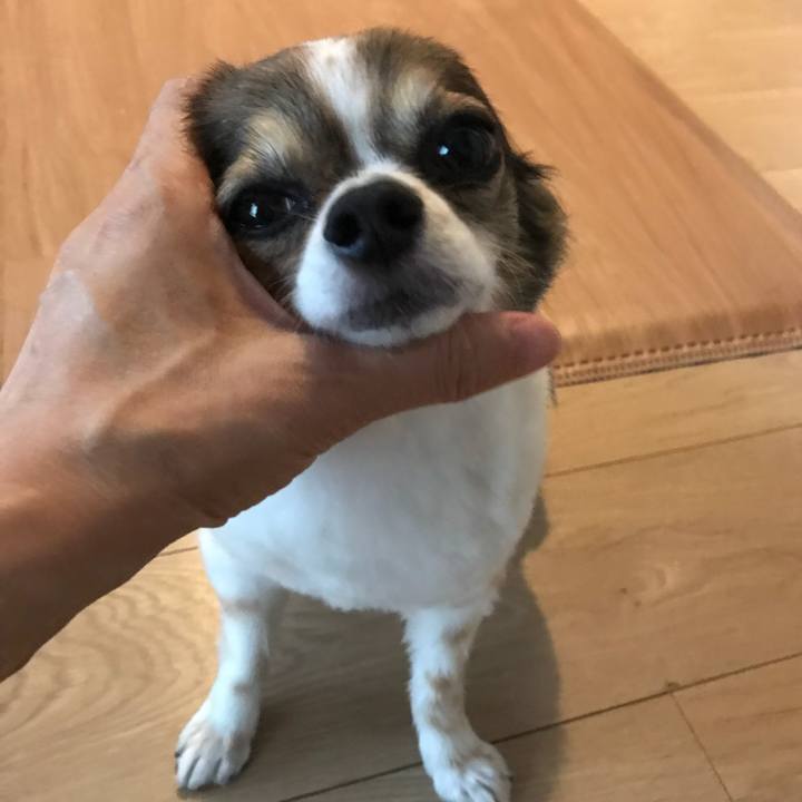 0e100377 4bb2 4d0c 8702 117355efc86f 1533985165048