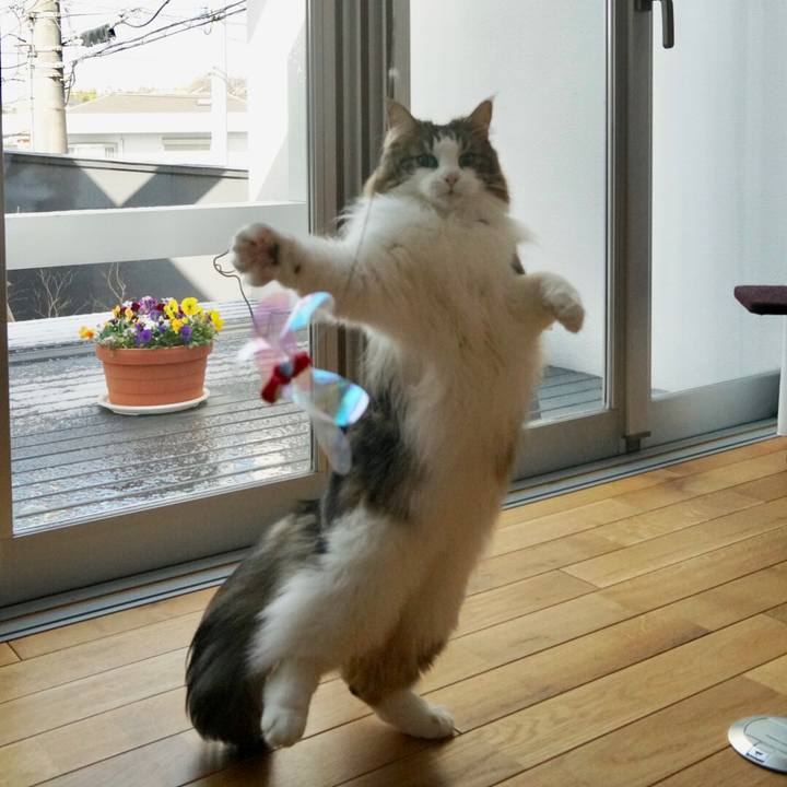 0e100ad5 027b 4807 8099 6f33678f9260 1549861895784