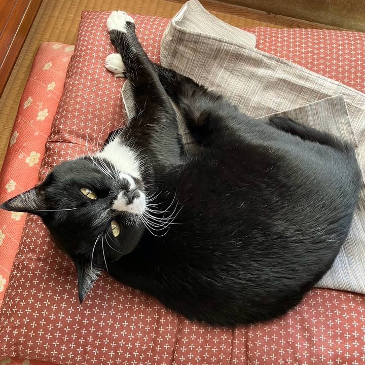 0e101dd4 6398 40e1 b242 055ec444a62e 1736229042651