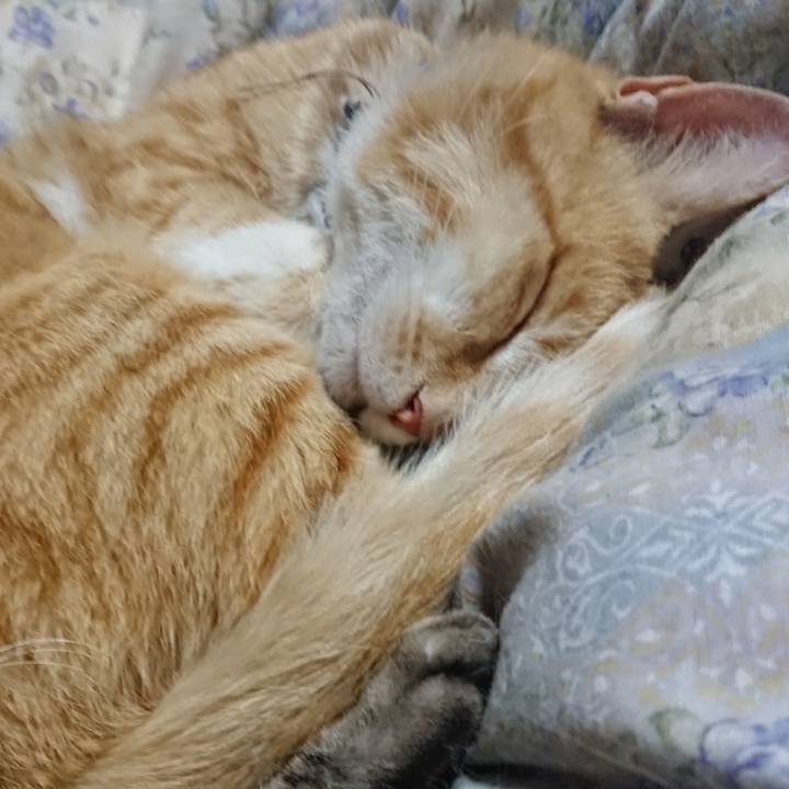 0e102d31 c61d 4812 905f 0417b1239bad 1590754260215