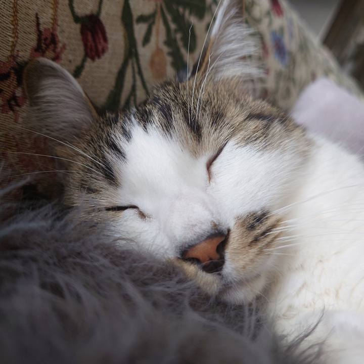 0e1042a5 d890 455a 8ec0 3a42bcdd7a5d 1769297224407