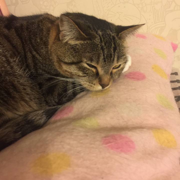 0e108612 fde7 487a 9128 a927ebd4fe17 1553100449660