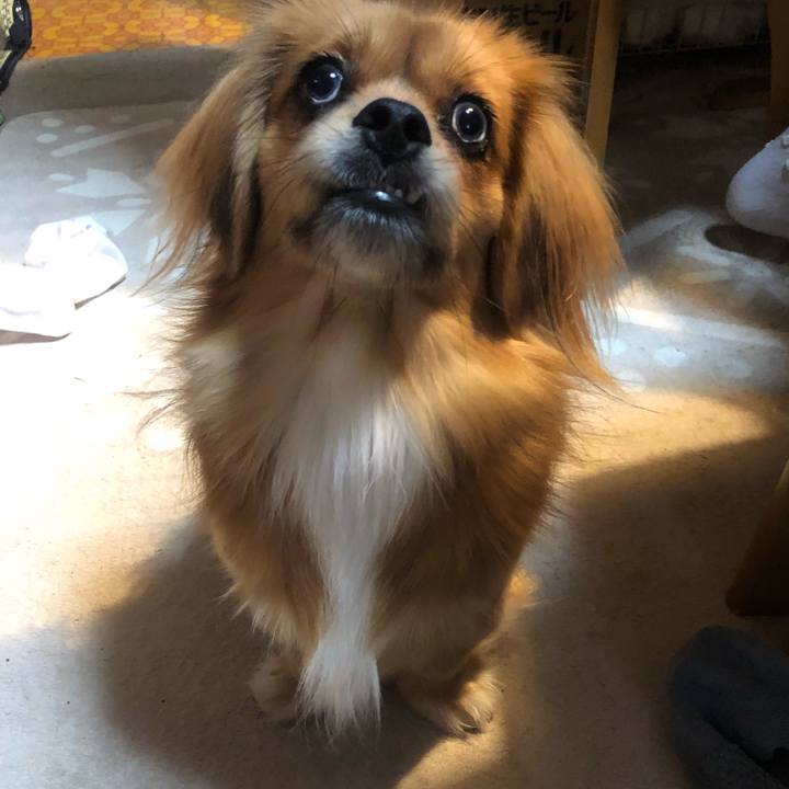 0e112e3e e853 4bd0 a7ad 16ba04aa7d5c 1540332202307