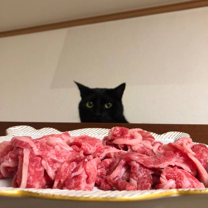 0e115737 fed9 4ac1 80c5 f7ec958b1cc9 1593782289823