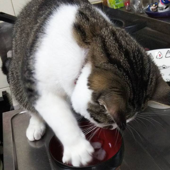 0e117733 867c 47df 8431 792b4c6a9cc4 1622983446002