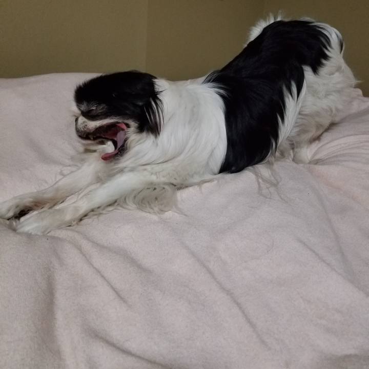 0e119ffc 02b4 4021 8bb3 1b67dbc70ef9 1524995299125