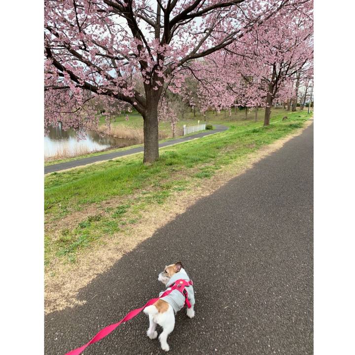 0e11ebd5 5a7c 4486 b606 c07a46e1bee1 1584091189729