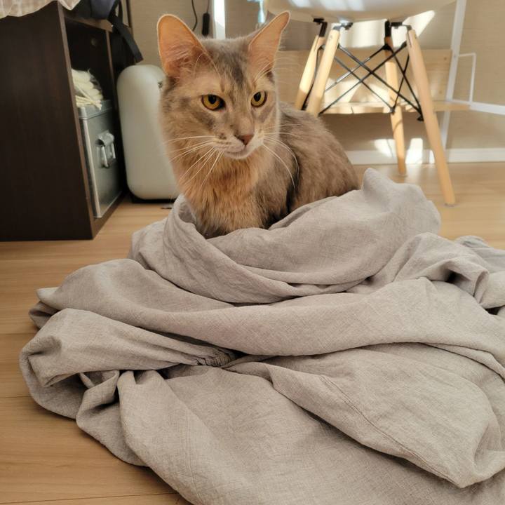 0e11fe9b 9c3f 4239 8613 e06222fbcf7e 1641951179351