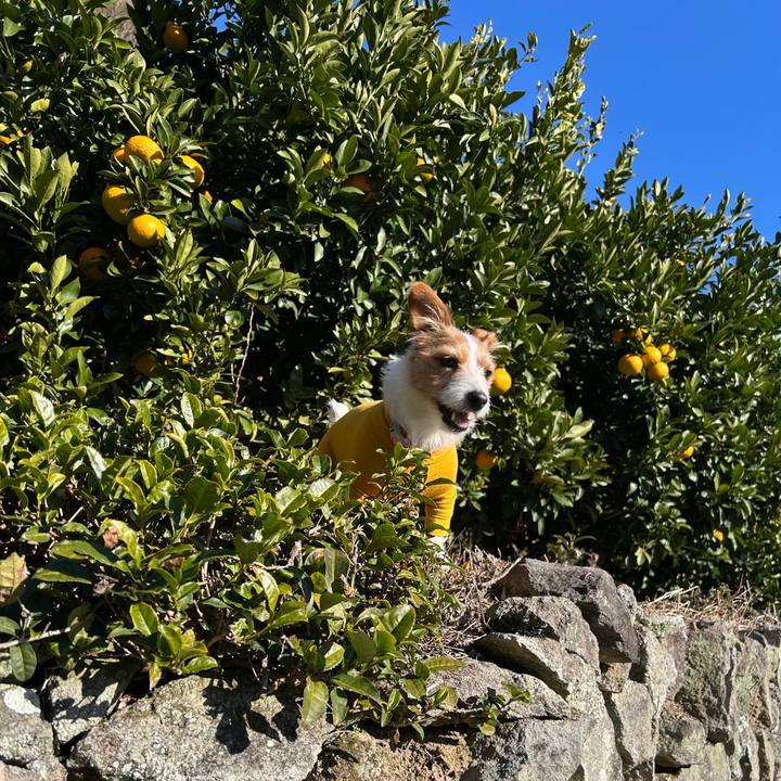 0e120fd1 bb3f 4e3b bc85 c2488f6bf33f 1767929166728