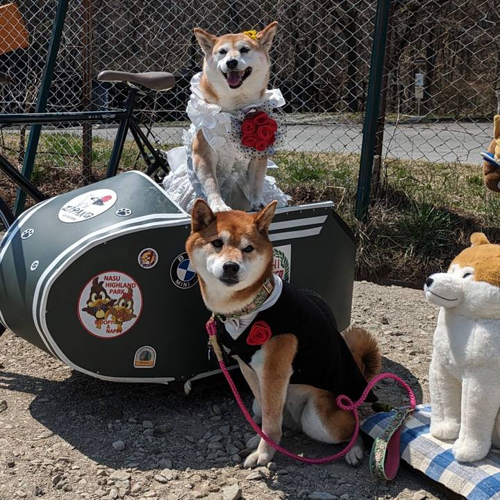 0e121715 bb96 4d5d b5d9 7a8acee6904d 1713192419729