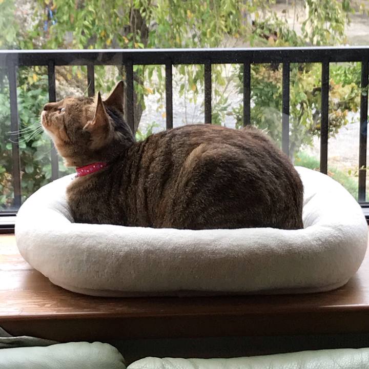 0e122331 d6fe 46b5 bbab 032f0d62b52c 1571616488292