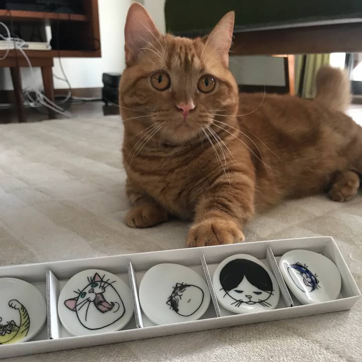 0e123554 1dc6 4081 a501 60697cc281bd 1530078162896