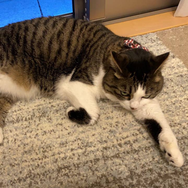 0e123eb8 ec58 4178 9fbc 5984a677606b 1663684009342