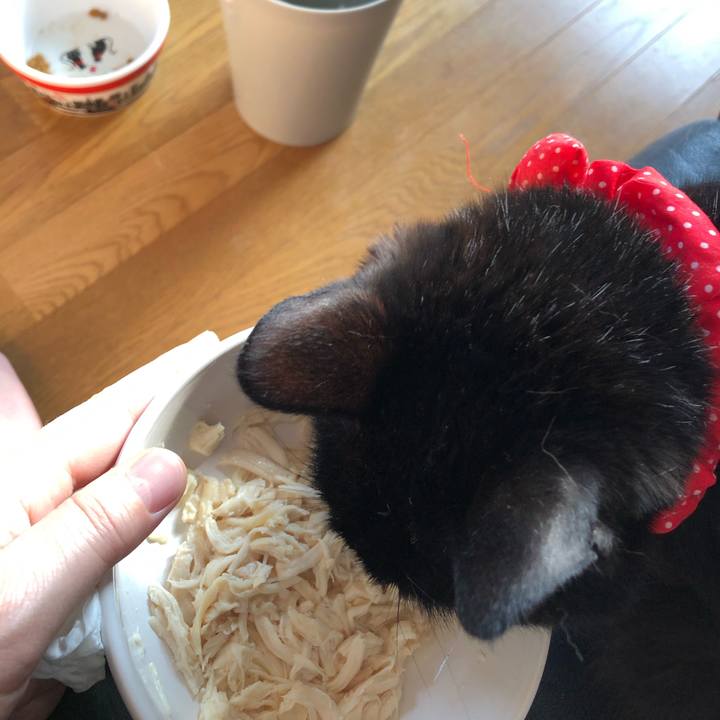 0e1240a4 df87 4fa3 a017 b1ddcce6264a 1554465152213