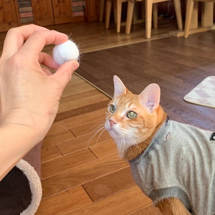 0e12527c b310 4b12 8d96 bf5c4bed081b 1642854666691