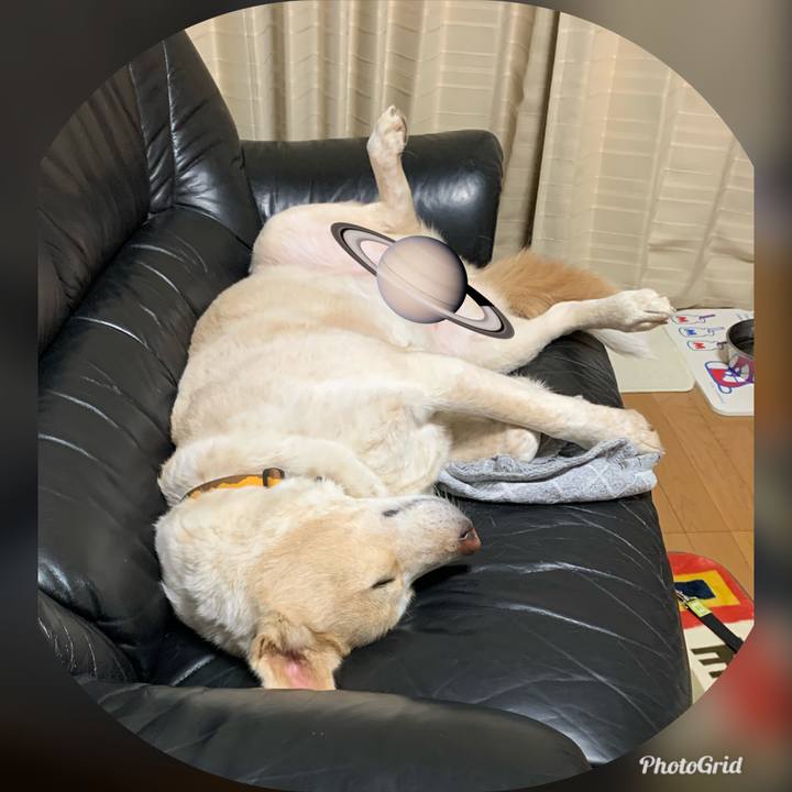 0e129c96 5057 4d8f ae88 7ba3bd18ec53 1578927778848