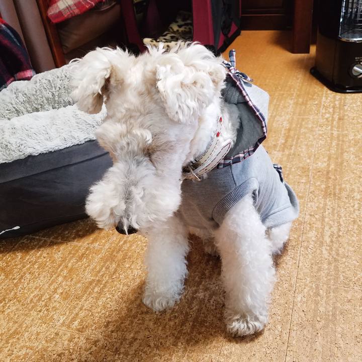 0e12bc08 3051 4a6f 9999 e58f1207f21e 1556546898983