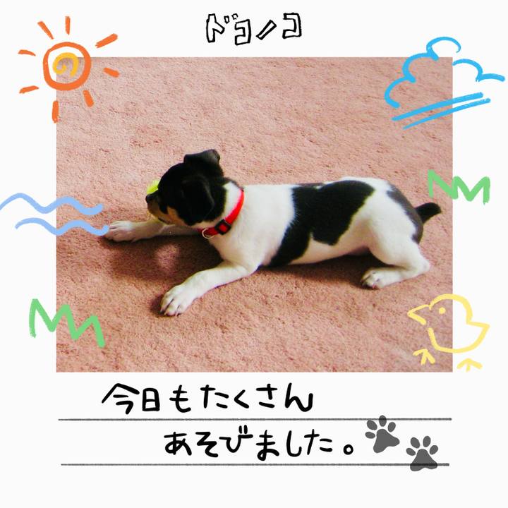 0e12ee7a 0f42 4e97 b0b9 985d63479ed0 1755131349846