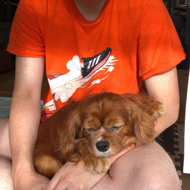 0e12fae9 8be1 4e6c 9af8 3ab20f54a267 1634430535403