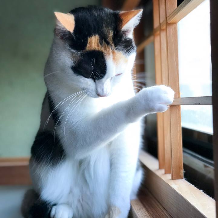 0e130c6a 0a7f 49b1 9220 3734a55ec6a3 1513509964178