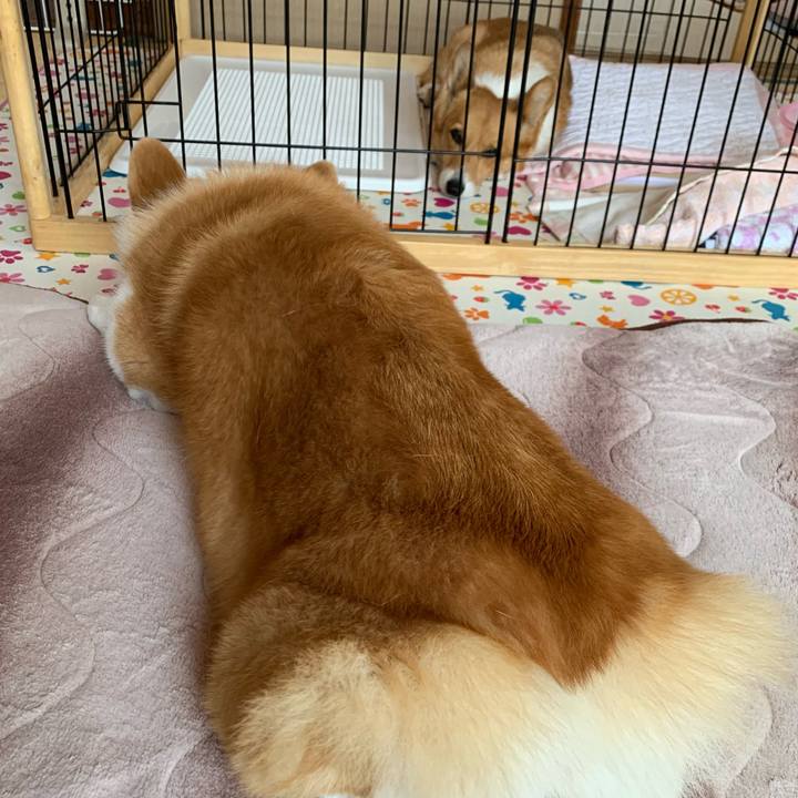 0e1312d2 2a09 4210 97ab 94456f67919f 1622509860751