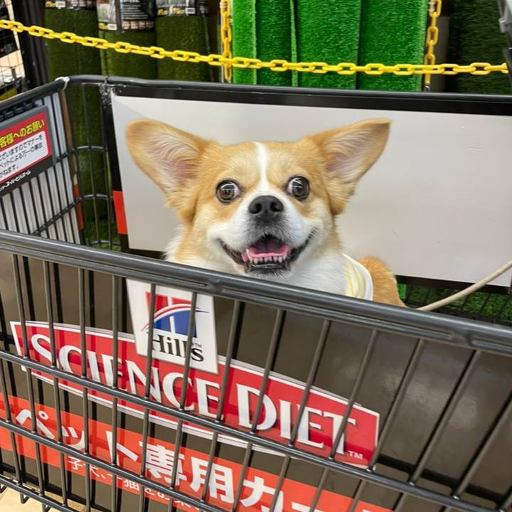 0e1349c5 77cc 418d 9baf fd4ecb2ef8c1 1621852562406