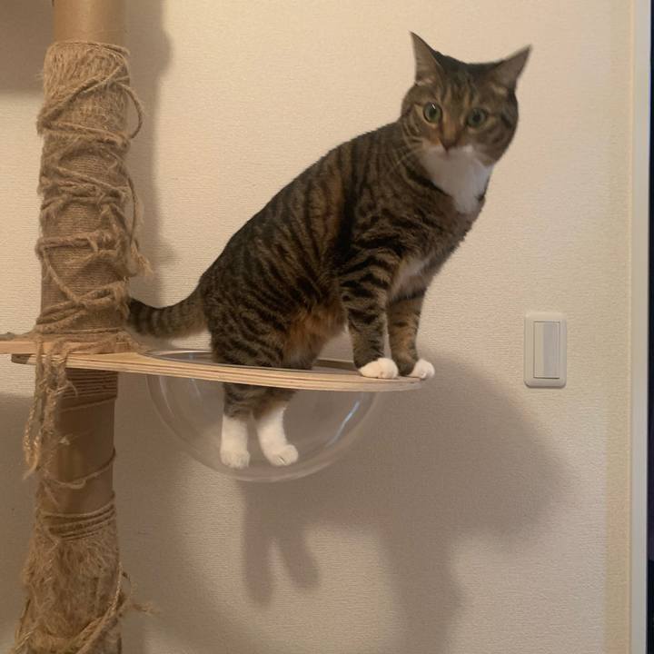 0e137d63 b711 4f83 b2e1 5fa6b739e5ac 1662557597244