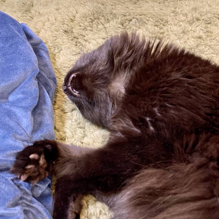 0e13849e 3dbd 45bb a5cb fd4f8cca0d1b 1752187617970