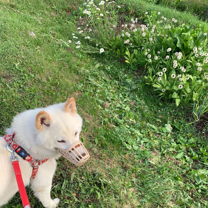 0e138b43 a414 4e00 a675 f7ae26eddbc5 1560980889895