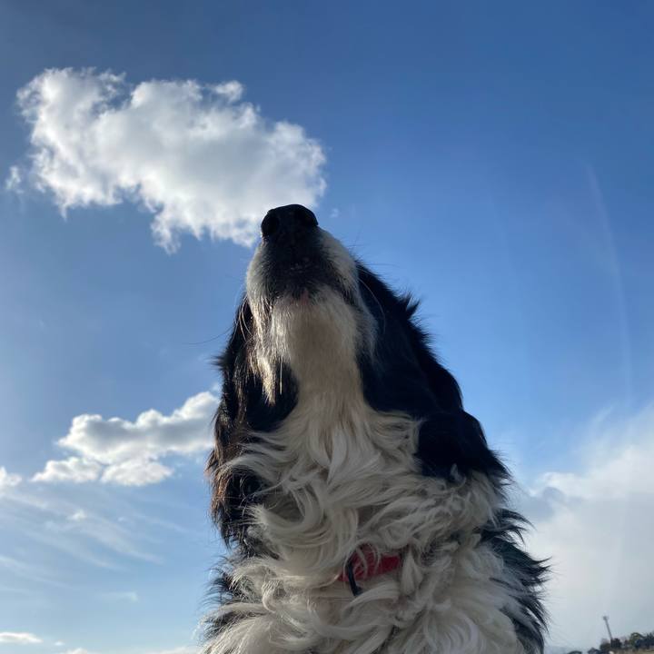 0e13fdc4 9399 4e2b 84df 67c1fe411a33 1645316564665