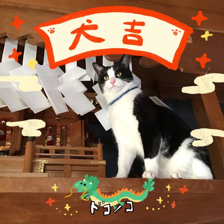 0e141ed9 e14d 4e18 b7a3 c2a441db0b77 1704189129608