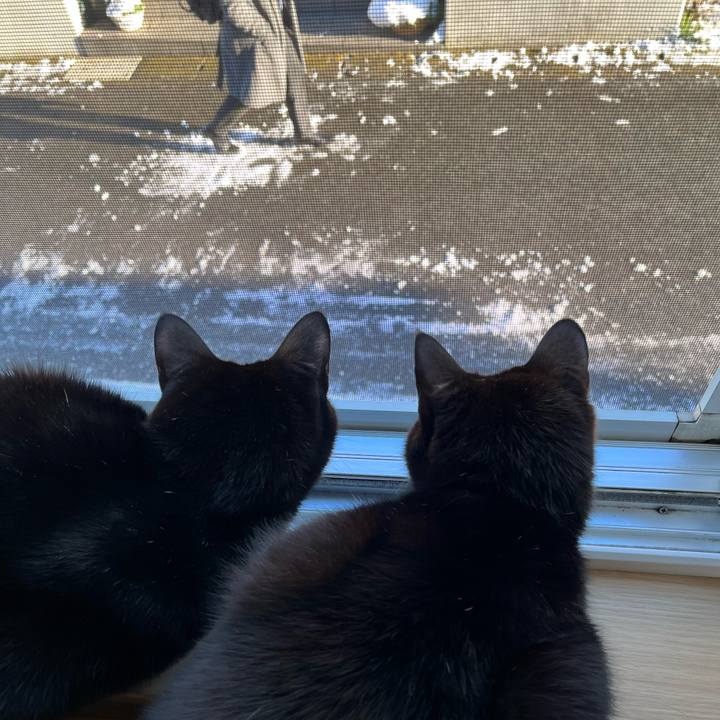 0e142505 2839 4fce b890 9d3baa7f71bd 1641512272589