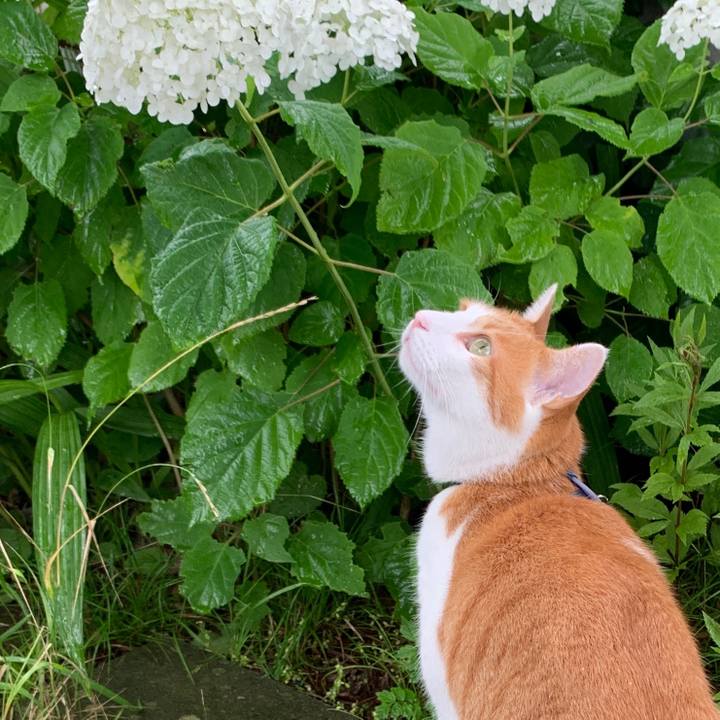 0e14d6a4 bb59 4a51 9115 4306d69f7471 1594108736801