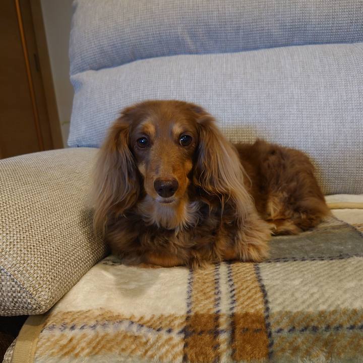 0e14e014 62a6 4aa2 9f05 ec097883575b 1681537569676