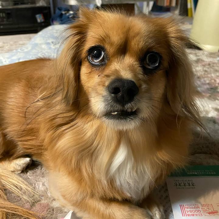 0e14f14f 2504 4cb7 a06a 42fbdddb99be 1606512349490