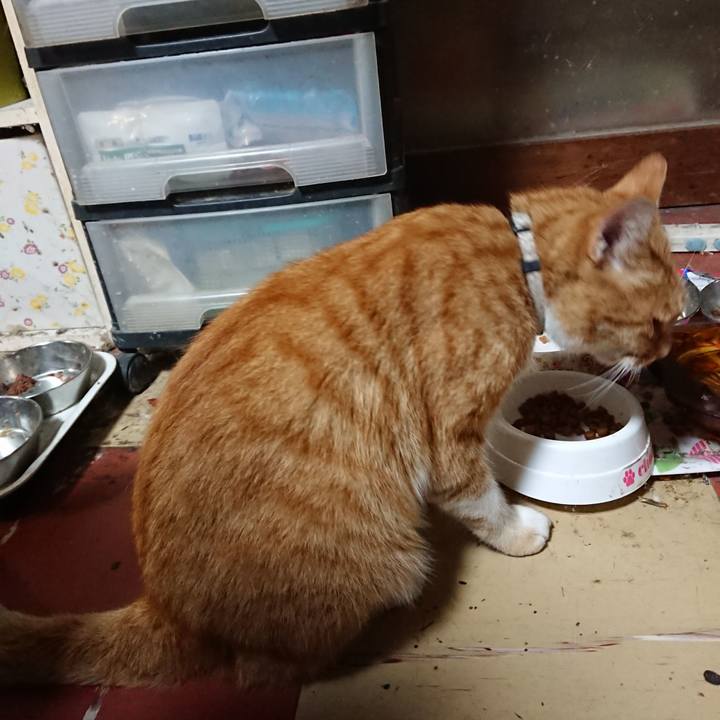 0e152796 a432 41be b387 46b67dbd55fb 1596628398683