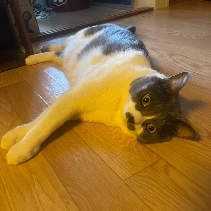 0e153c12 eaf4 4d2a bdb9 361378c5550d 1757895627507