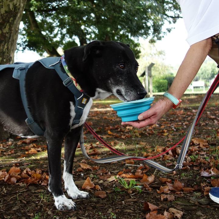 0e155edc b9f7 4b4e a310 e84440d54dd0 1729297845838