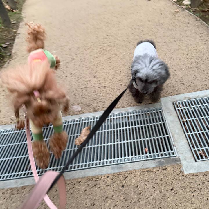 0e1566a4 72eb 454e 8e05 2f5ee5dfd346 1766186006352