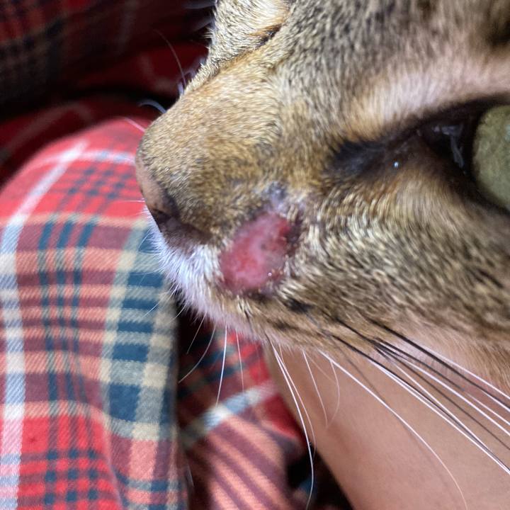 0e1591ae c99d 4c31 bdff 6baaf0a662b6 1641383350316