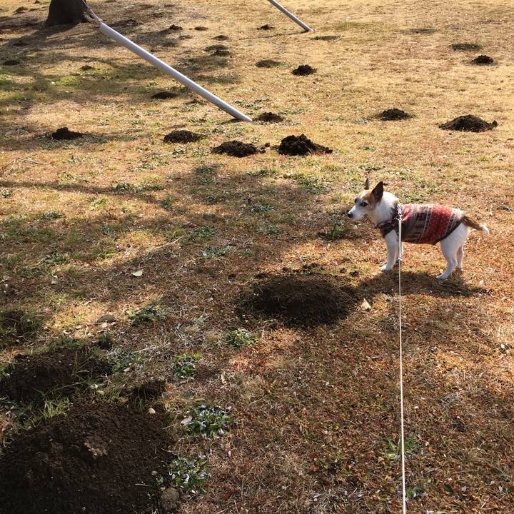 0e15b620 2763 4d9f 95ea 7a8b11c5b85f 1644881258277