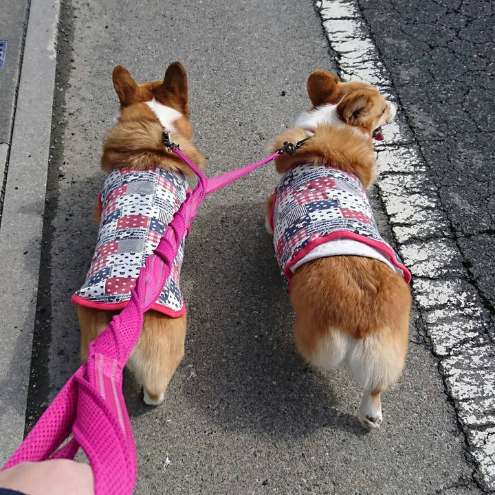 0e15d4fc 95b0 4e2e 9613 39570884365b 1521703424815