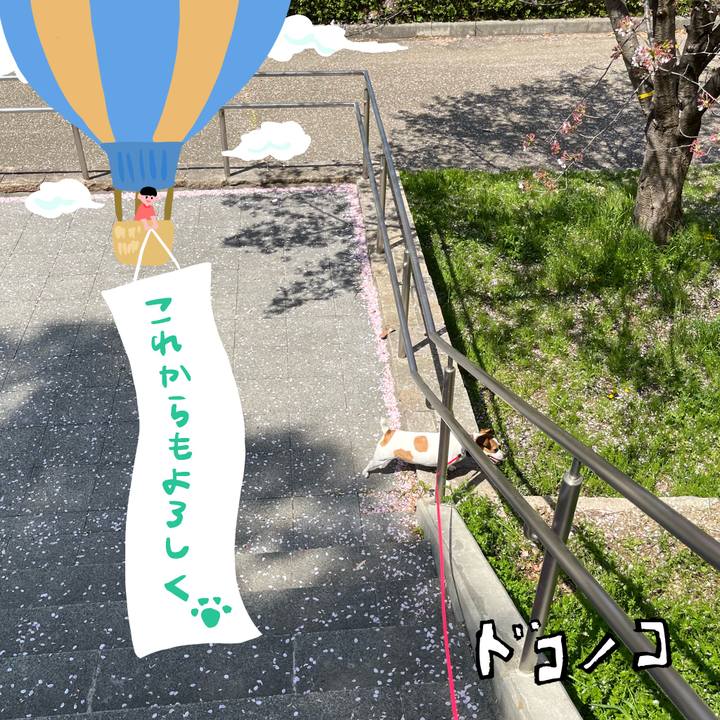 0e15e1a4 0532 44ee b815 1aa280695677 1685972956763