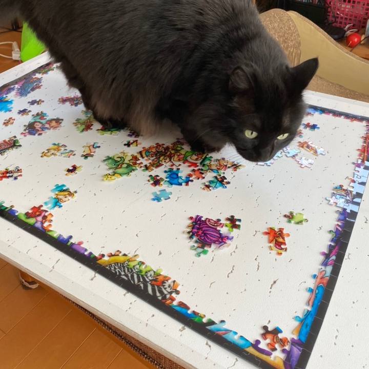 0e15f02c bfd6 423d 8c0b 8b24a7d07663 1620098294758