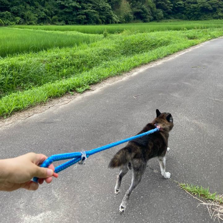 0e16525c 29c7 4b70 a5bc 3cdc15256d56 1722168822601