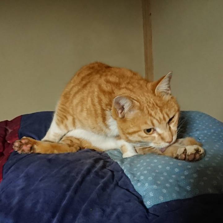 0e166147 96e8 4c72 98be e2353c2383b7 1582712556129