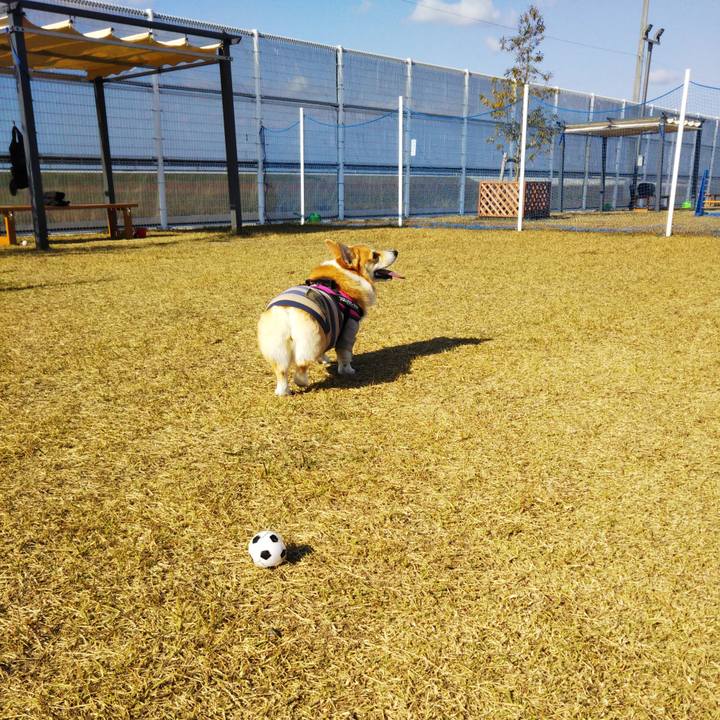 0e166bc8 746d 4da7 90af 083a5296ca5b 1604158186733